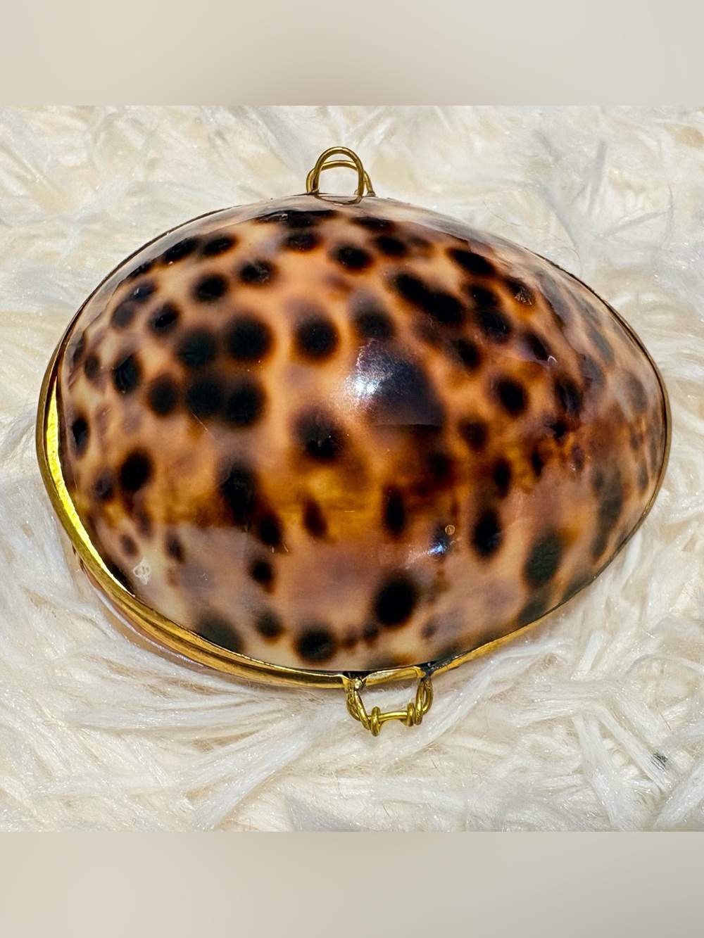 Vintage Tiger Cowrie Seashell Polished Jewelry Trinket Pill Ring Box Container